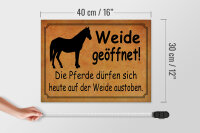 Holzschild Spruch 40x30cm Weide geöffnet Pferde dürfen