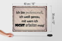 Holzschild Spruch 40x30cm ich bin professionell ich weiß