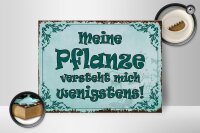 Holzschild Spruch 40x30cm meine Pflanze versteht mich