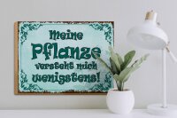 Holzschild Spruch 40x30cm meine Pflanze versteht mich