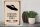 Holzschild Spruch 30x40cm Visitors Parking only Ufo