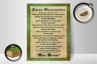 Holzschild Spruch 30x40cm Irish Philosophy there are only