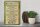 Holzschild Spruch 30x40cm Irish Philosophy there are only