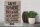 Holzschild Caffee 30x40cm Caffe espresso capuccino latte
