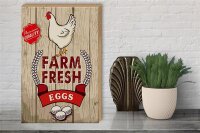 Holzschild Spruch 30x40cm Huhn farm fresh eggs premium