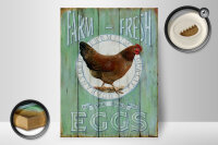 Holzschild Spruch 30x40cm Huhn Farm fresh Eggs free range
