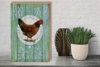 Holzschild Spruch 30x40cm Huhn Farm fresh Eggs free range