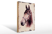 Holzschild Retro 30x40cm Portrait Pferd Kopf Schild