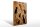 Holzschild 12x18cm Höhle der Katzenmalerei