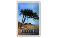 Blechschild Reise 12x18cm Hiddensee Leuchtturm Baum Weide...