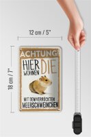 Blechschild Spruch 12x18cm Tiere Achtung hier Meerschweinchen Schild