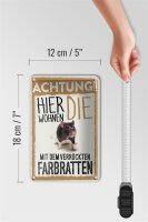 Blechschild Spruch 12x18cm Tiere Achtung hier Farbratten Dekoration