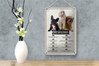 Blechschild Spruch 12x18cm Hunderegel schlafen wo ich will Dekoration
