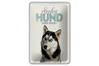 Blechschild Tiere 12x18cm Seelen Hund mein Husky Schild