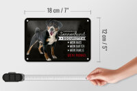 Blechschild Spruch 18x12cm Sennenhund Security mein Haus Schild