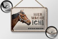 Blechschild Spruch 18x12cm Pferd links hier wache ich eigene Gefahr Schild