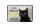 Blechschild Spruch 18x12cm Katze hier wache ich eigene Gefahr Schild