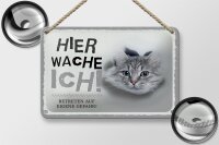 Blechschild Spruch 18x12cm Katze hier wache eigene Gefahr Dekoration