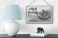 Blechschild Spruch 18x12cm Katze hier wache eigene Gefahr Dekoration