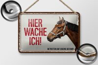 Blechschild Spruch 18x12cm Pferd hier wache ich eigene Gefahr Schild