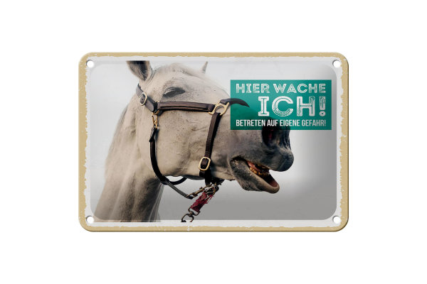 Blechschild Spruch 18x12cm Pferd Schimmel hier wache ich Dekoration