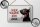 Blechschild Spruch 18x12cm Dobermann hier wache eigene Gefahr Schild