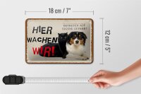 Blechschild Spruch 18x12cm Hund Katze hier wachen wir Geschenk Schild