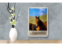 Blechschild Reise 12x18cm Argentinien Wiese Pferde Urlaub Schild