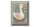 Blechschild 20x30cm Gustav die Gans