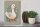 Holzschild 30x40cm Gustav die Gans