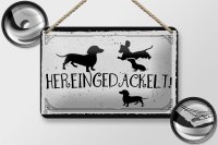 Blechschild Spruch 18x12cm Hereingedackelt