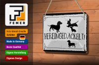 Blechschild Spruch 18x12cm Hereingedackelt