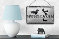 Blechschild Spruch 18x12cm Hereingedackelt