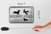 Blechschild Spruch 18x12cm Hereingedackelt