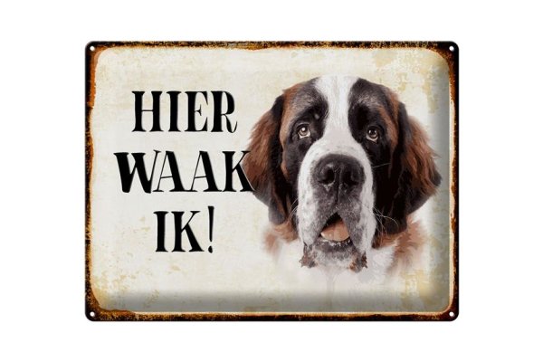 Blechschild Spruch 40x30cm holländisch Hier Waak ik Bernhardiner Deko