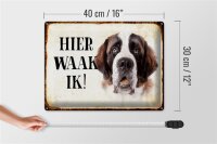Blechschild Spruch 40x30cm holländisch Hier Waak ik Bernhardiner Deko