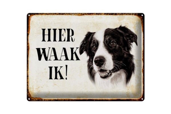 Blechschild Spruch 40x30cm holländisch Hier Waak ik Border Collie Deko