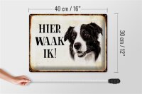 Blechschild Spruch 40x30cm holländisch Hier Waak ik Border Collie Deko
