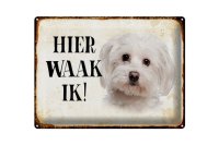 Blechschild Spruch 40x30cm holländisch Hier Waak ik...