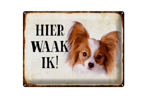 Blechschild Spruch 40x30cm holländisch Hier Waak ik Papillon Deko