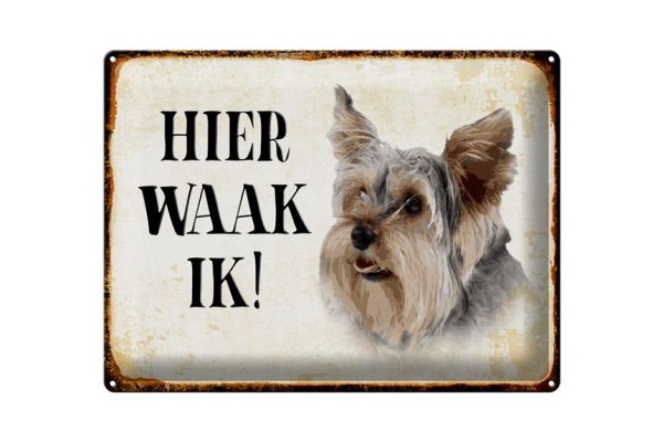 Blechschild Spruch 40x30cm holländisch Hier Waak ik Yorkshire Terrier Hund Deko
