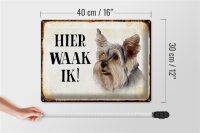 Blechschild Spruch 40x30cm holländisch Hier Waak ik Yorkshire Terrier Hund Deko