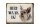 Blechschild Spruch 40x30cm holländisch Hier Waak ik Yorkshire Terrier Hund Deko
