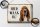 Blechschild Spruch 40x30cm holländisch Hier Waak ik Bassett Hund Deko