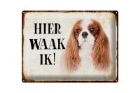 Blechschild Spruch 40x30cm holländisch Hier Waak ik...