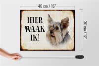 Holzschild Spruch 40x30cm holländisch Hier Waak ik Yorkshire Terrier Hund Deko